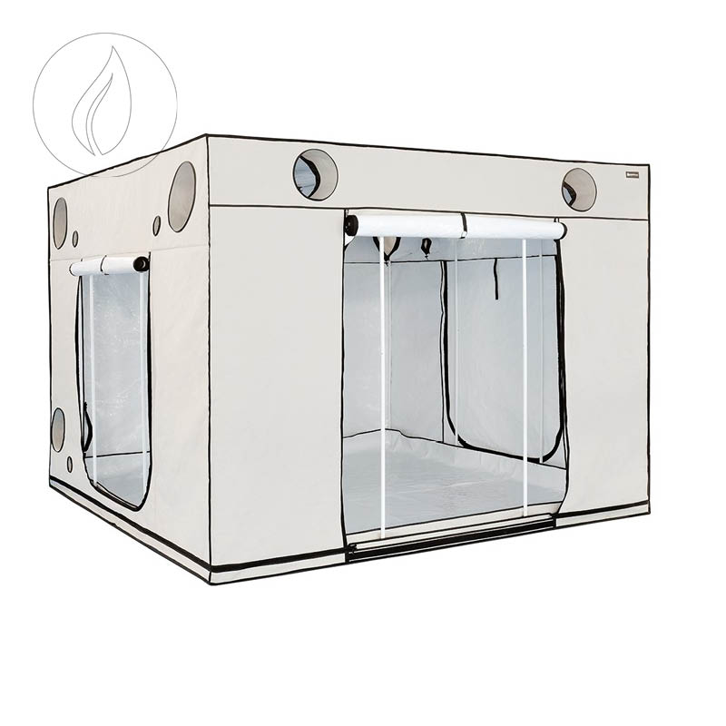  Homebox Ambient Q300+