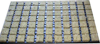 Grodan Stecktrays Vorgesteckte Anzuchtmatte mit SBS 36/77 - Box