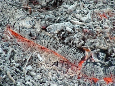 Holzasche 1000 Gr