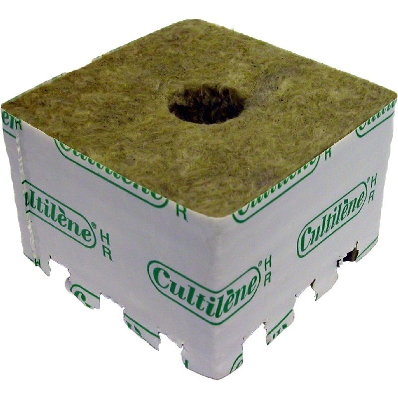 Grodan Startblock 10 x 10 x 6,5 cm / Loch 28mm