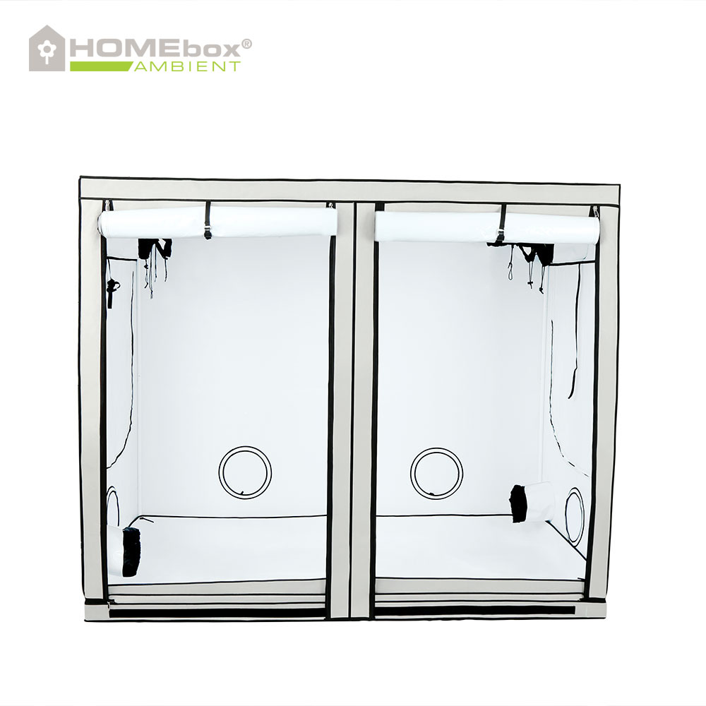 Homebox - Ambient R240