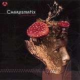Charasmatix - Soma Agents