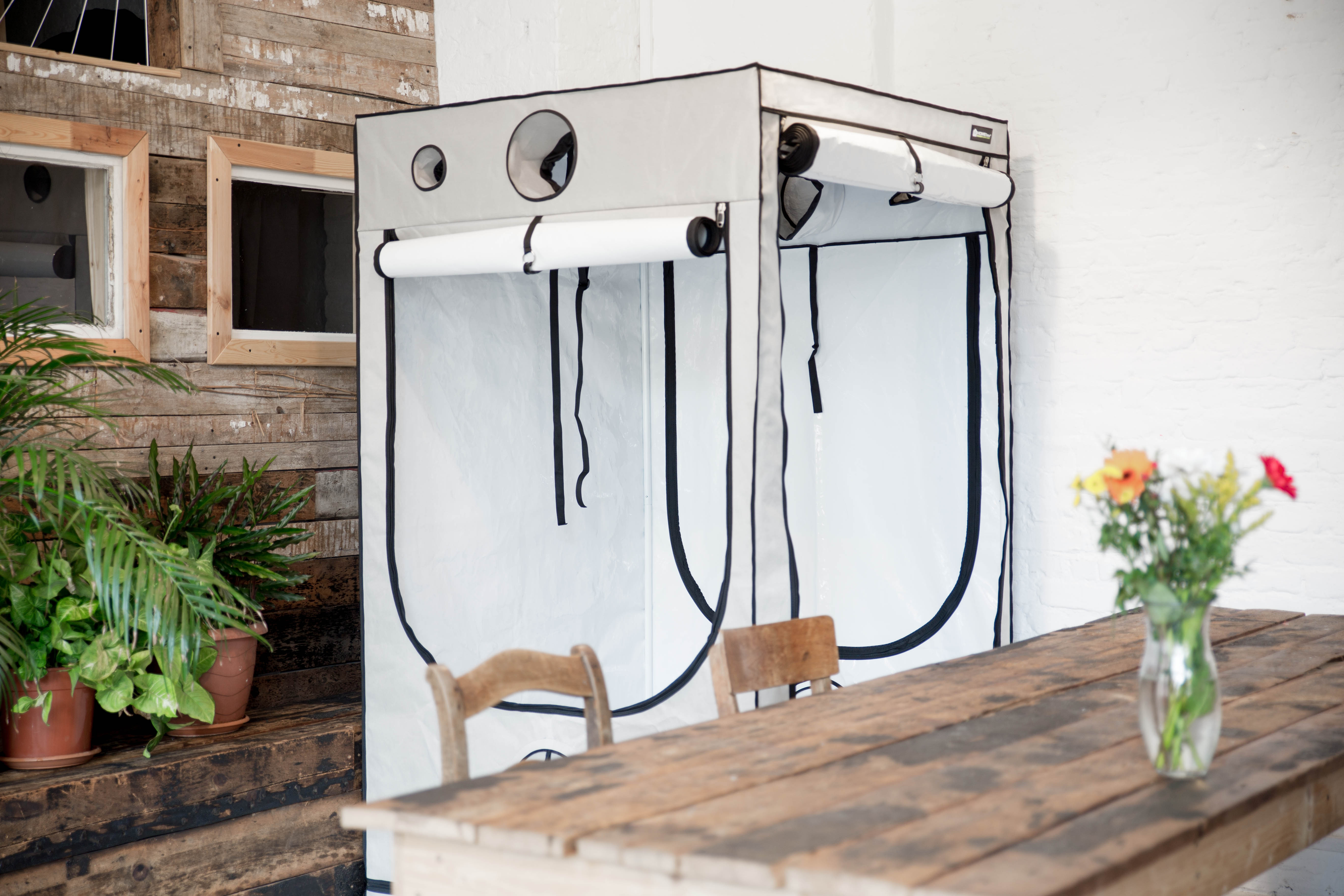 Homebox - Ambient Q100