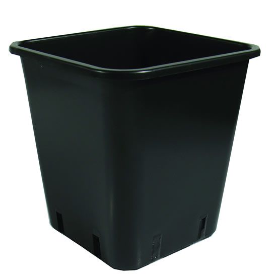 Topf - viereckig 6,5L