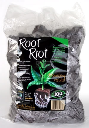 Root Riot - 100 Stk Nachfüllbeutel