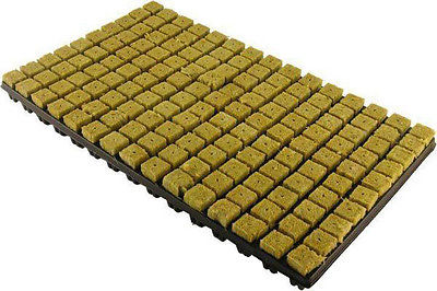 Grodan Stecktrays Vorgesteckte Anzuchtmatte mit SBS 25/150