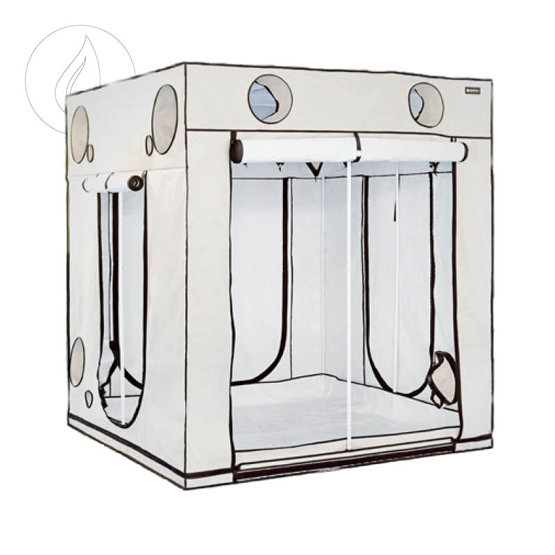  Homebox Ambient Q200+