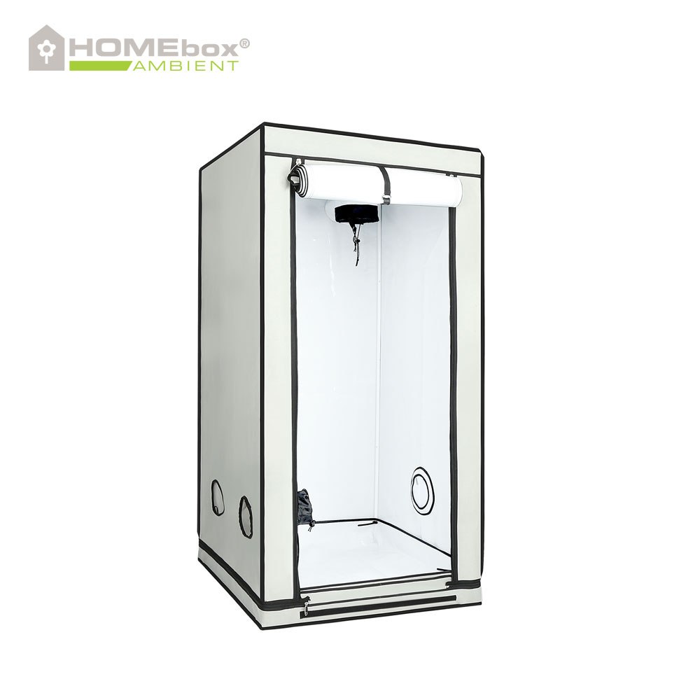 Homebox - Ambient Q80