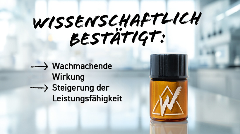 Einzelpackung Wildkraut Energy Sniff – Classic