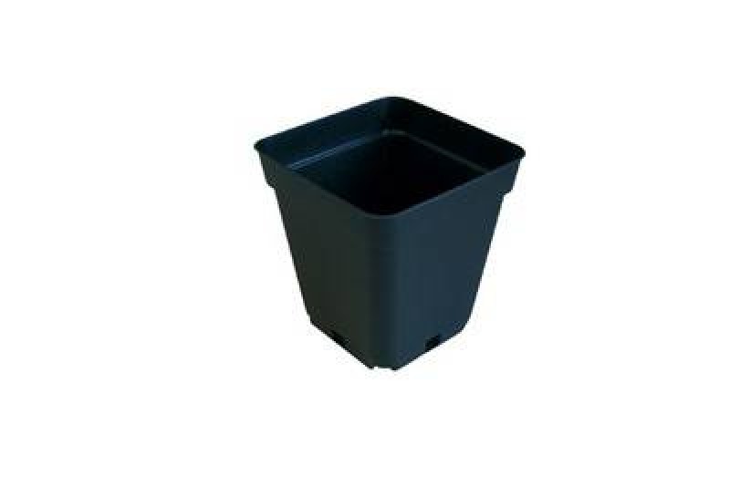 Töpfe 0,25 Liter